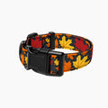 Pet Collar