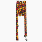 Pet Leash
