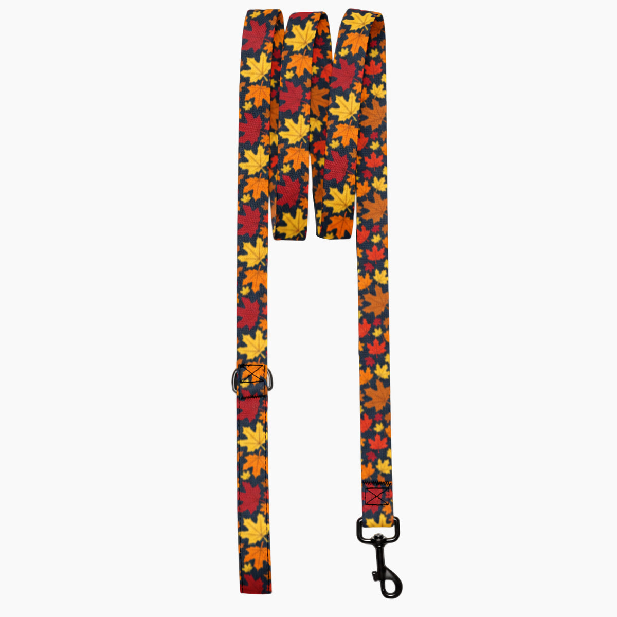 Pet Leash