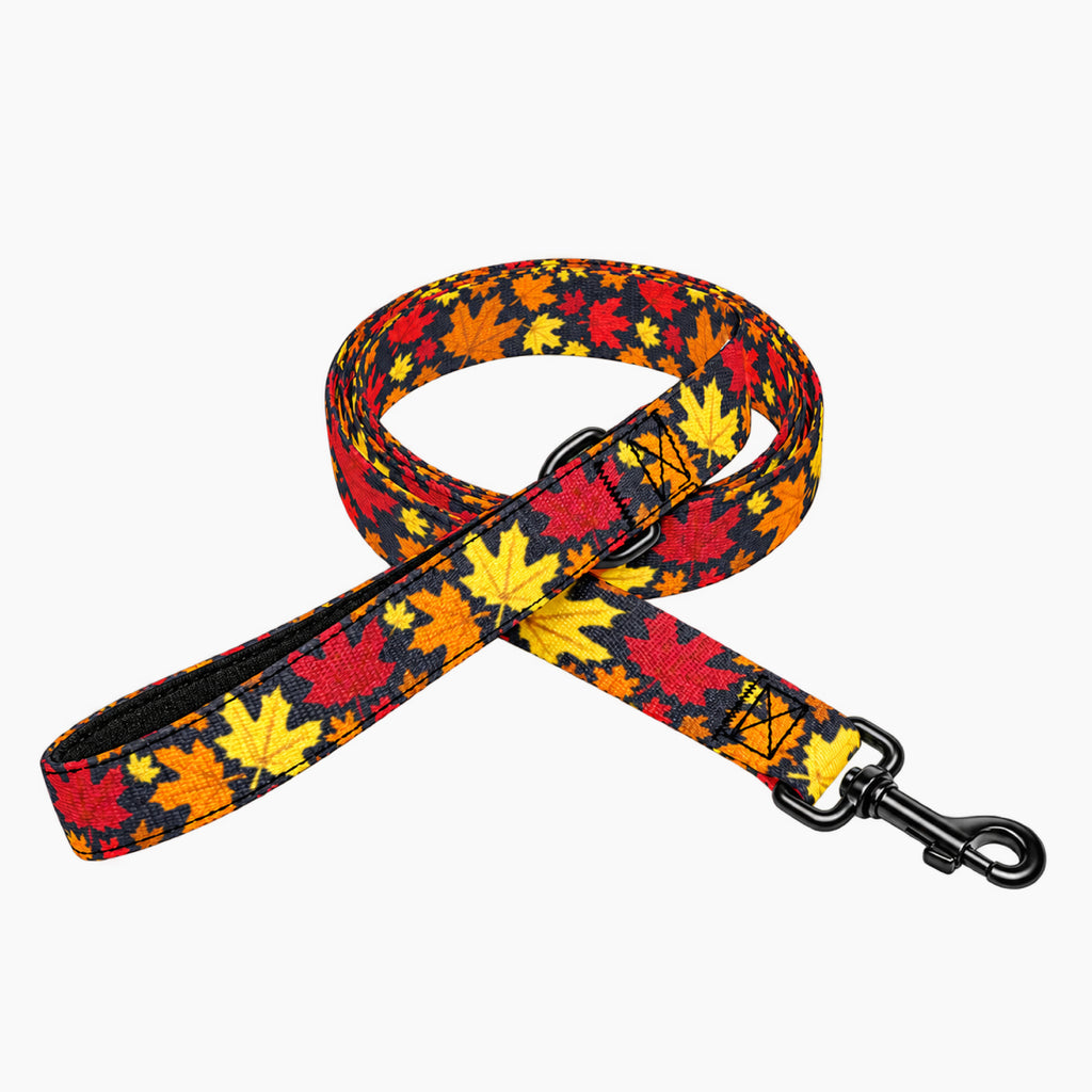 Pet Leash