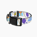 Pet Collar
