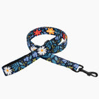 Pet Leash