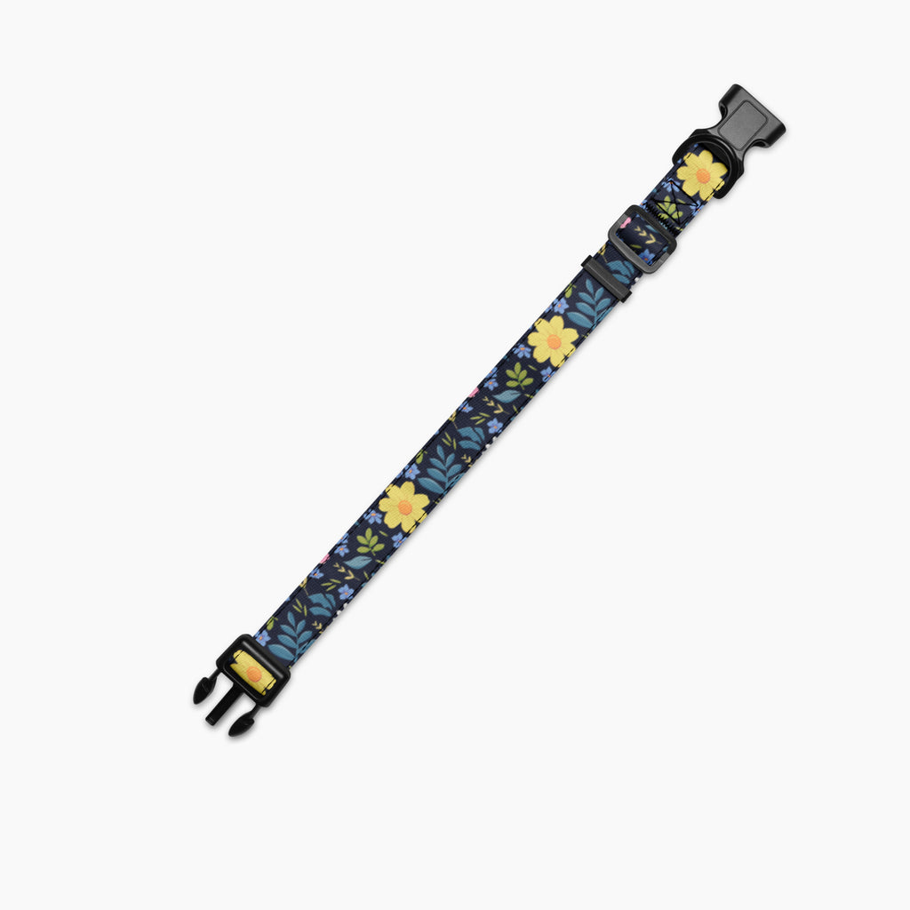 Pet Collar
