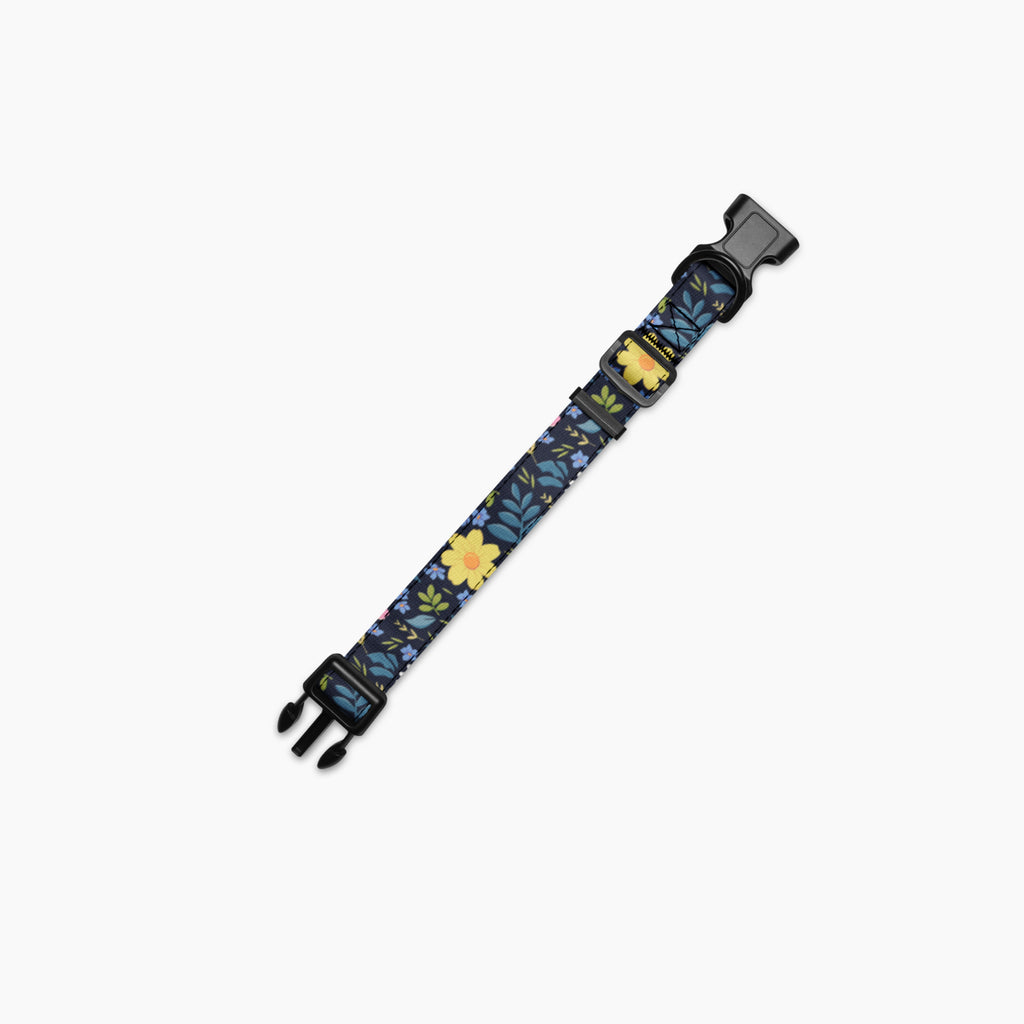 Pet Collar