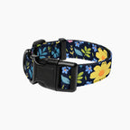 Pet Collar