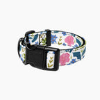 Pet Collar