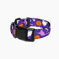 Pet Collar