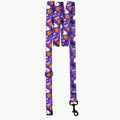 Pet Leash