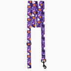 Pet Leash
