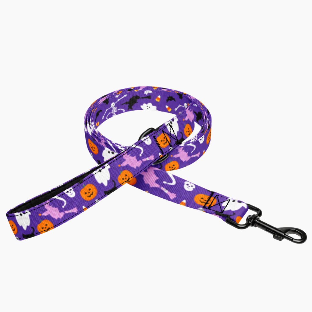 Pet Leash