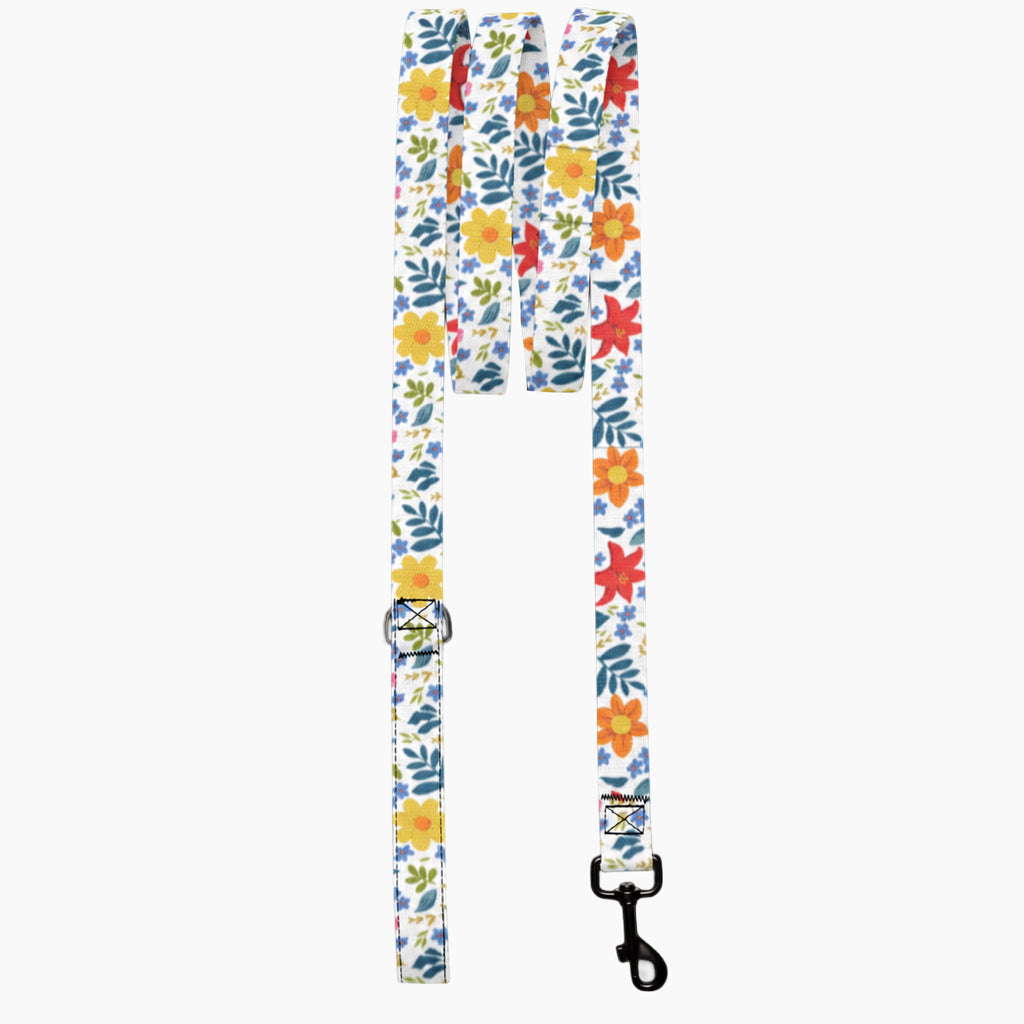 Pet Leash