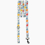 Pet Leash