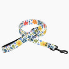 Pet Leash